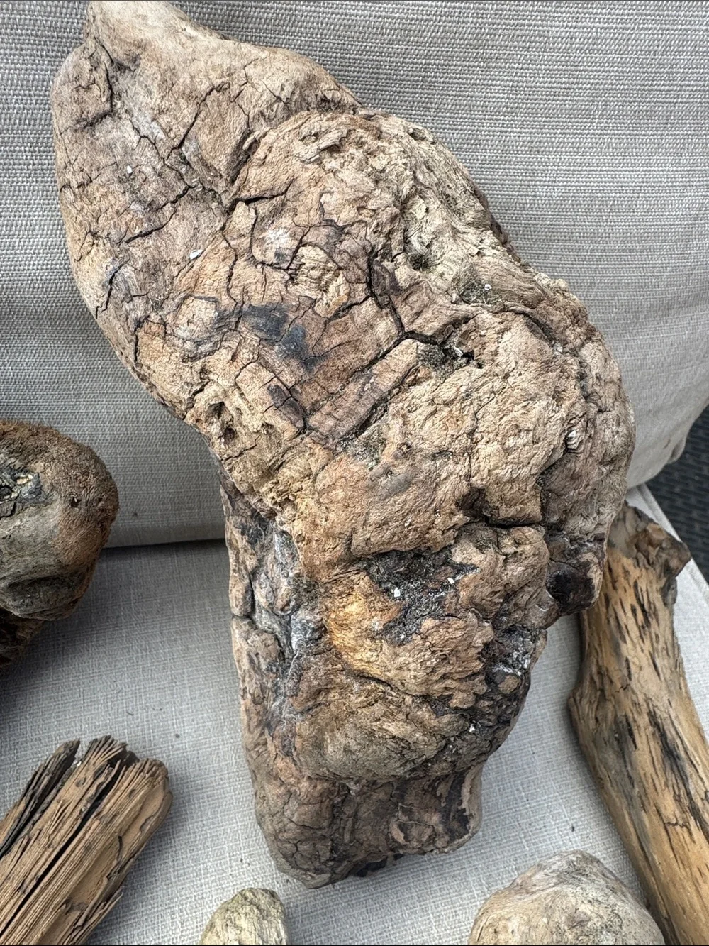11 pc (5lbs shipped) Natural Driftwood Decorative Accent Pieces-craft & display